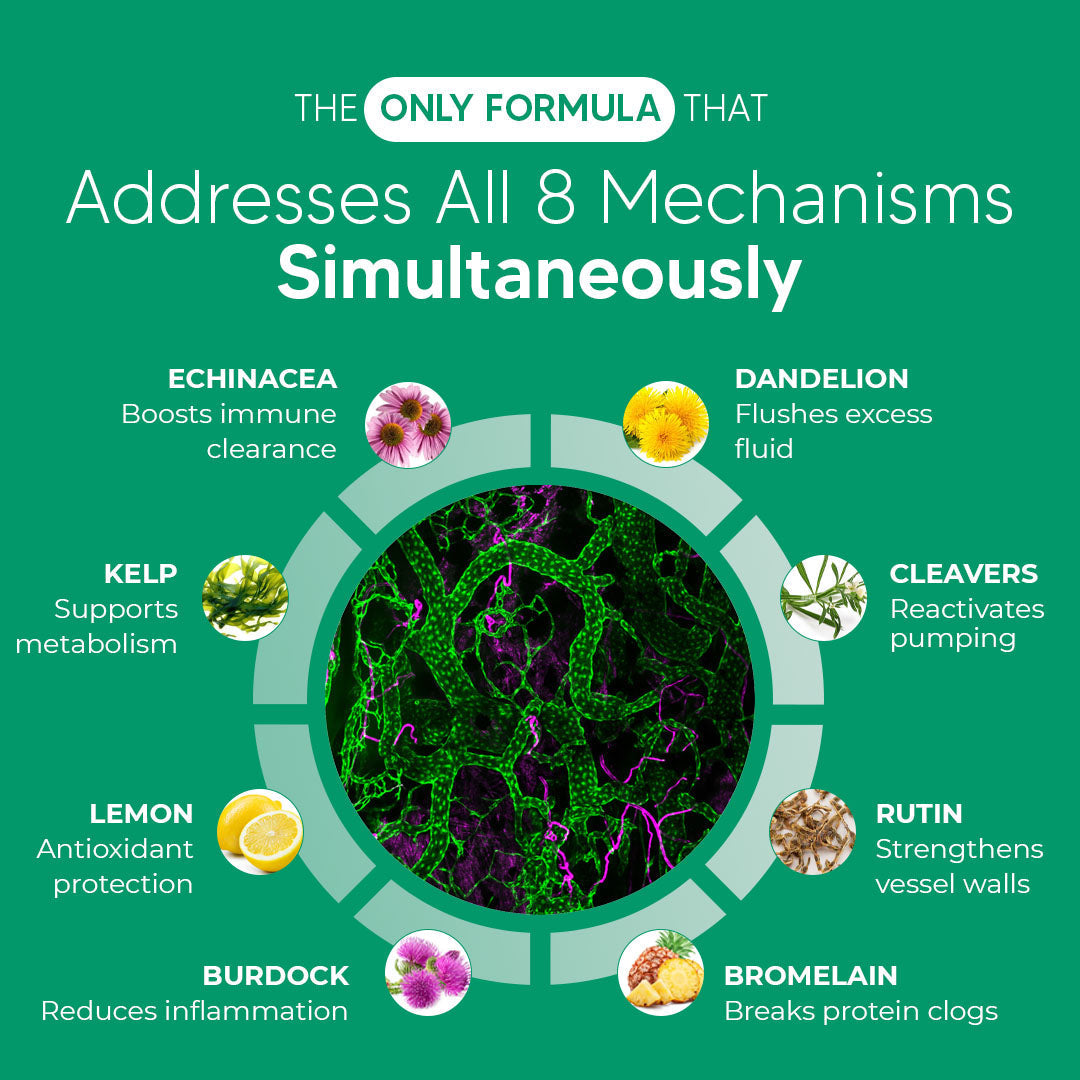 Sculptique Maximum Potency Lymphatic Drainage Capsules for Cellulite & Skin Firming